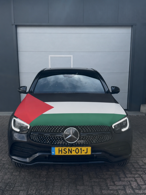 Hoodflag Palestine